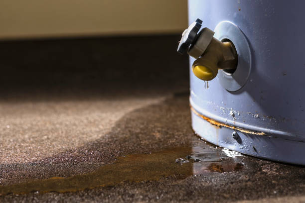 Best Water damage restoration mold remediation  in Weedsport, NY