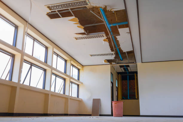 Best Basement water damage restoration  in Weedsport, NY