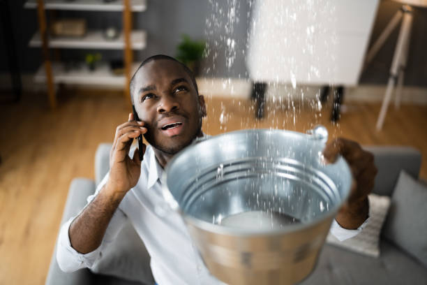 Best Flood damage cleanup  in Weedsport, NY