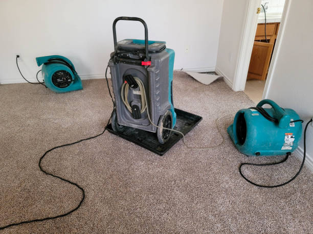 Best Fire Damage Restoration  in Weedsport, NY
