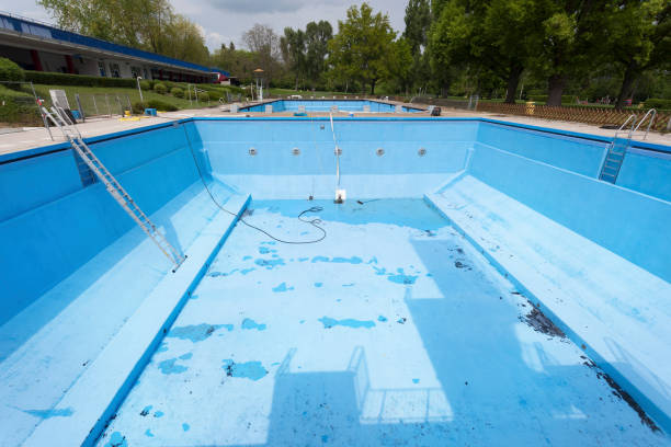 Best Professional water damage repair  in Weedsport, NY