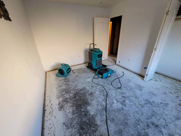 Best Residential water damage restoration  in Weedsport, NY