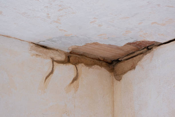 Best Commercial water damage restoration  in Weedsport, NY