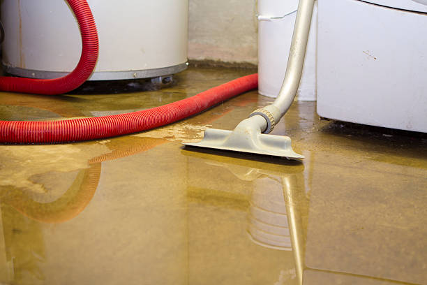 Best Water damage restoration near me  in Weedsport, NY