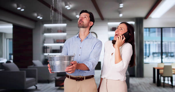 Best Local water damage restoration  in Weedsport, NY